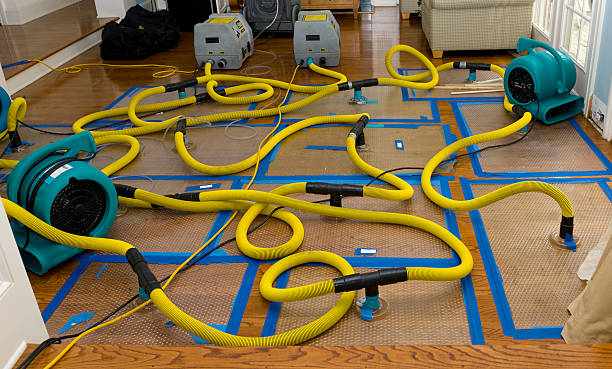 Professional Basement Flood Cleanup technician working in Canfield, OH